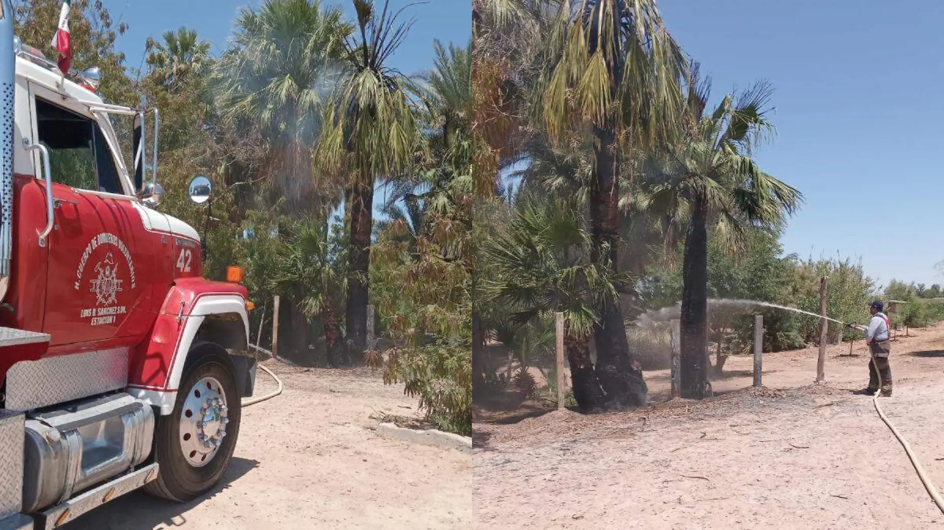 Bomberos Incendio Palmas